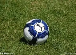 揭秘崇阳法,院受贿案,前泰达球星,韦德体育,韦德体育官网,韦德体育平台,韦德体育官方网站