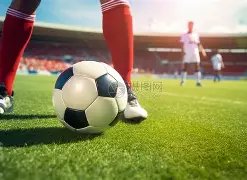 喀麦隆非洲,杯豪强阵容,揭晓,韦德体育,韦德体育官网,韦德体育平台,韦德体育官方网站