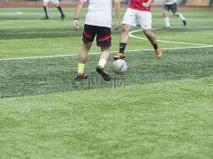 激战,哀兵对决,和平能否绽,韦德体育,韦德体育官网,韦德体育平台,韦德体育官方网站