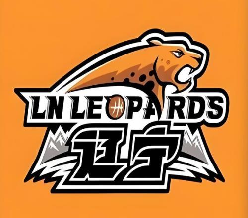 年终羽毛球,邓谢搭档惜,败中国组合,韦德体育,韦德体育官网,韦德体育平台,韦德体育官方网站