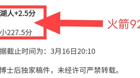 圖赫爾直言：對博尼法斯轉會議題，鮑姆加特評論引發熱烈討論