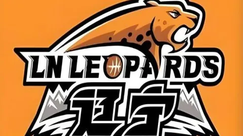 年终羽毛球赛：邓谢搭档惜败中国组合出局，谢影雪退役之战落幕