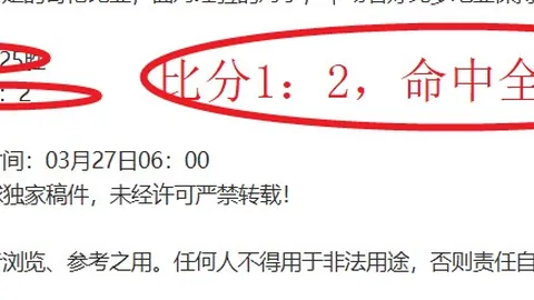 费内巴切主场争冠分析：专家推荐质合前区十码